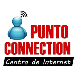 PuntoConnection